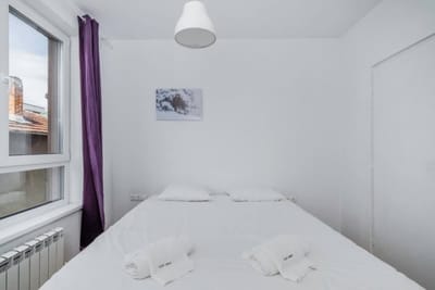 Bright and Cozy 1BD Apartment plus Desk