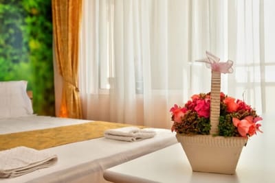 Aurora Oasis - AC & Lift in Vibrant Downtown Sofia