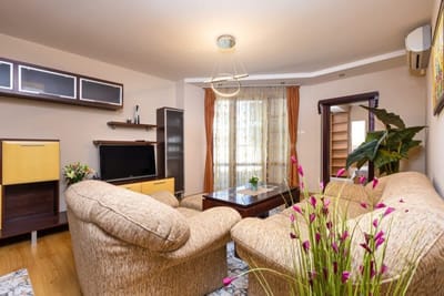 Centrally-located 1BD Apartment near Kapana