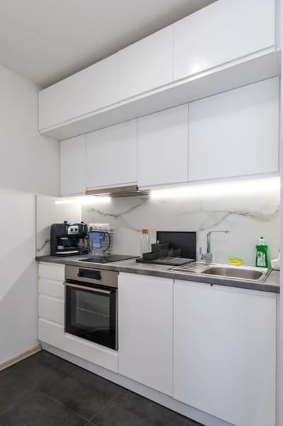 Cozy and Functional Business One-Bedroom Apartment