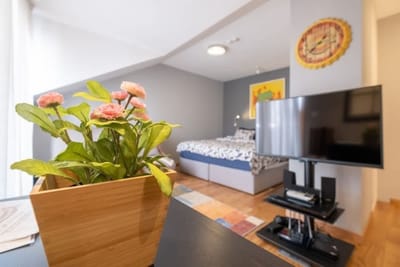 High-end Designer Studio - AC + Parking