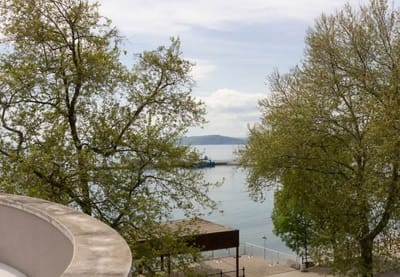 Cozy 1BD Apartment with a Spacious Terrace