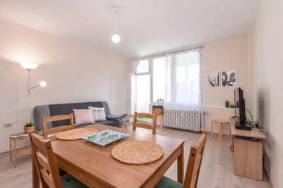 Atacama - spacious apartment in Lozenets area