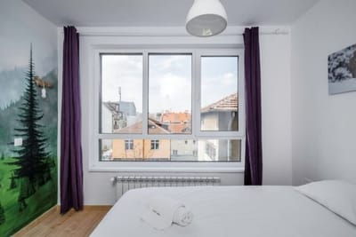 Bright and Cozy 1BD Apartment plus Desk