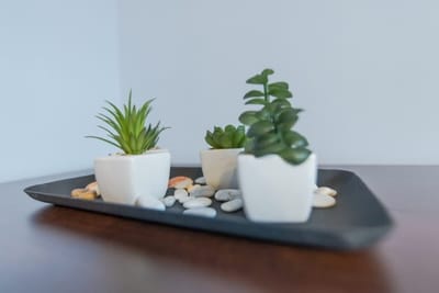 Central Cozy 1BD Compact Chic Living