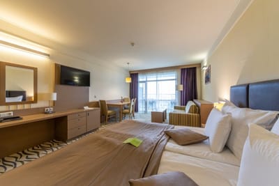 One Bedroom Room in the Flamingo Grand Hotel