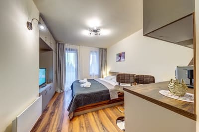 Cozy Studio in Grand Resort Pamporovo