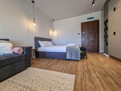 Cozy Studio in Bansko with free parking