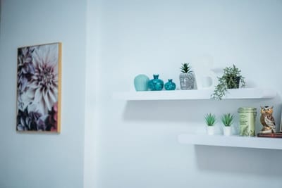 Black Sea 2bdrm Central Apartment