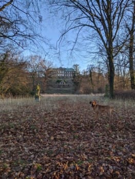 Castle of Burgscheidungen is a combination of baroque and renaissance styles