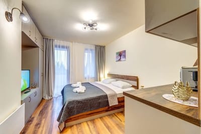 Cozy Studio in Grand Resort Pamporovo