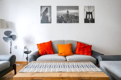 The Cosmopolitan Shine 1-BDR Pet-Friendly Flat