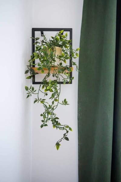 Brick Haven: Contemporary Urban Living Redefined