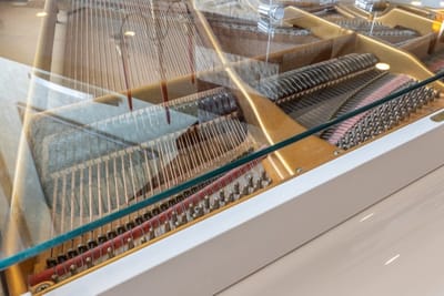 Flamingo Grand Hotel in Albena