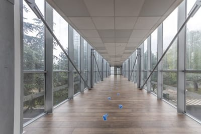 Spa Center in the Flamingo Grand Hotel