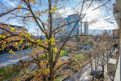 Charming Studio on Vitosha Street