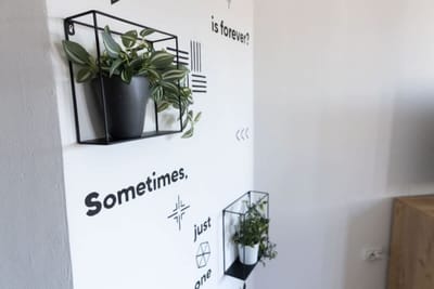 Lovely 1BD Flat near the Sea Garden