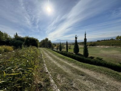 Zornitza Family Estate - Hotel