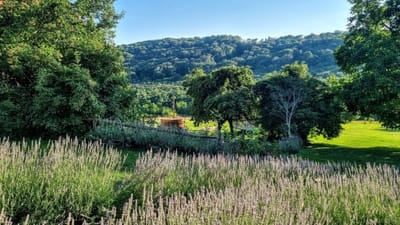 20 hectare traditional ranch