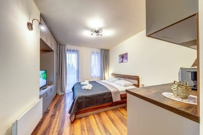 Cozy Studio in Grand Resort Pamporovo