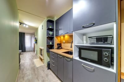 Cozy Mint Studio in Grand Resort Pamporovo