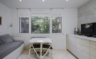 Bright & Cozy 1BD Apartment close to South Park