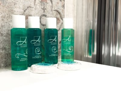 Orchidea City Centre 1BDR