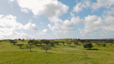 Casa da Volta — Contemporary Walled Villa with Courtyards & Exceptional Natural Light