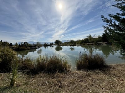 Zornitza Family Estate - Lake