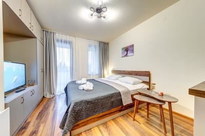 Cozy Studio in Grand Resort Pamporovo