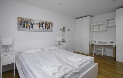 Bright & Cozy 1BD Apartment close to South Park