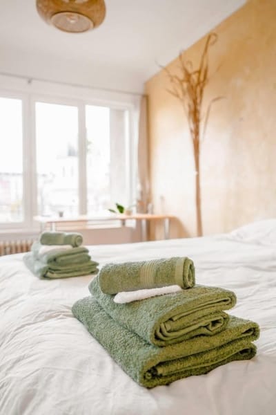 TERRA Design /Award-Winning Apartment/