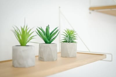 Floral Studio Retreat in Sofia City Center