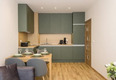 Brand New Modern 1BD Flat with Parking In Chayka