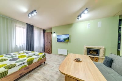 Cozy Mint Studio in Grand Resort Pamporovo