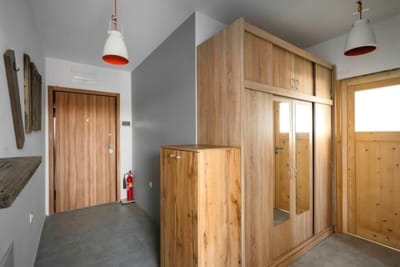 Bright and Cozy 1BD Apartment plus Desk