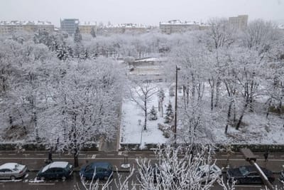 Little HoMe with a Park View