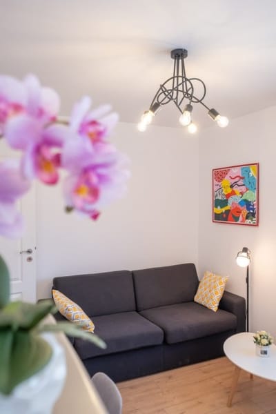 Alex cozy apartment - 1 bedroom