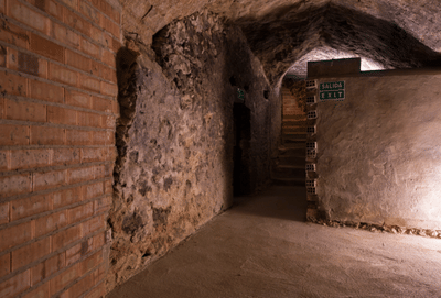 Dominio del Pidio Winery