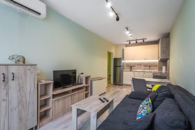 Intelligent Elephant Home - 1BDR Apartment