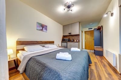 Cozy Studio in Grand Resort Pamporovo