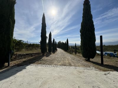 Zornitza Family Estate - Farm