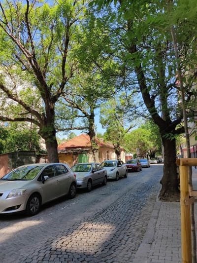 Cozy Studio near the Historical Heart of Sofia