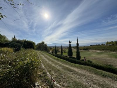Zornitza Family Estate - Hotel