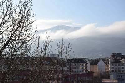 Bright & Cozy 1-Bedroom with Stunning Vitosha View