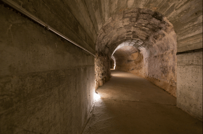 Dominio del Pidio Winery