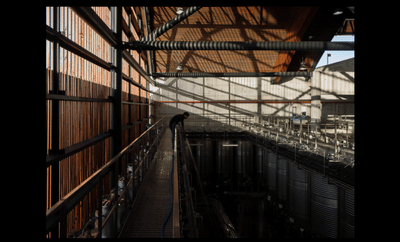 Douro and Porto Winery