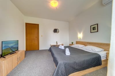 Villa Kometa  – 1BD Apt with Balcony & Forest View