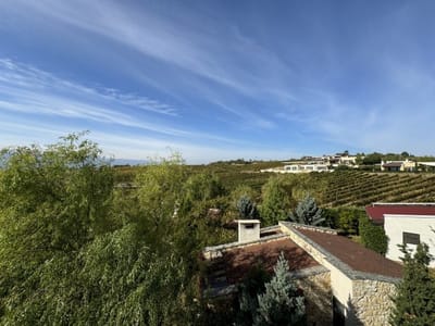 Zornitza Family Estate - Hotel