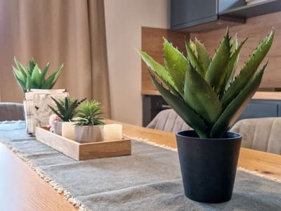 City Escape - 4 bedroom villa in Grand Therme